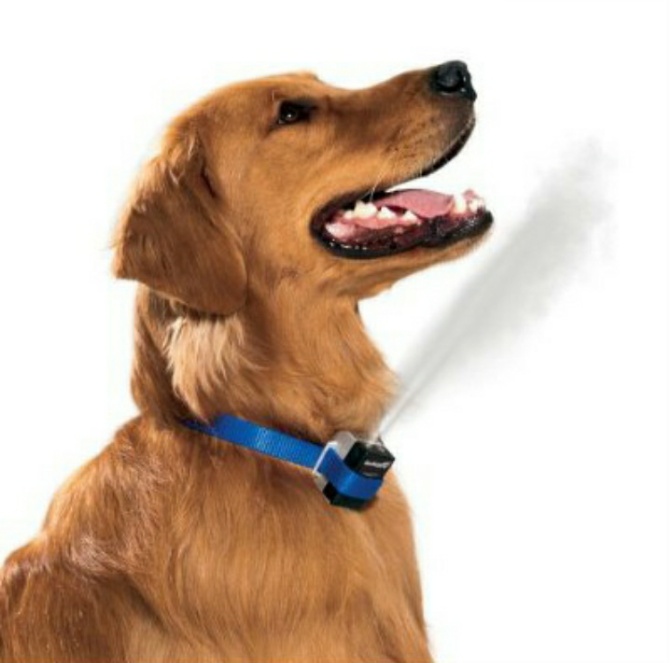Collar antiladrido de spray para perros